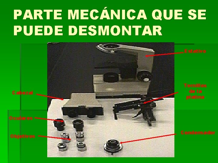 PARTE MECÁNICA QUE SE PUEDE DESMONTAR Estativo Cabezal Tornillos de la platina Oculares Objetivos PARTE MECÁNICA QUE SE PUEDE DESMONTAR Estativo Cabezal Tornillos de la platina Oculares Objetivos