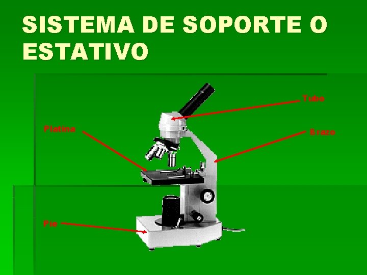 SISTEMA DE SOPORTE O ESTATIVO Tubo Platina Píe Brazo SISTEMA DE SOPORTE O ESTATIVO Tubo Platina Píe Brazo
