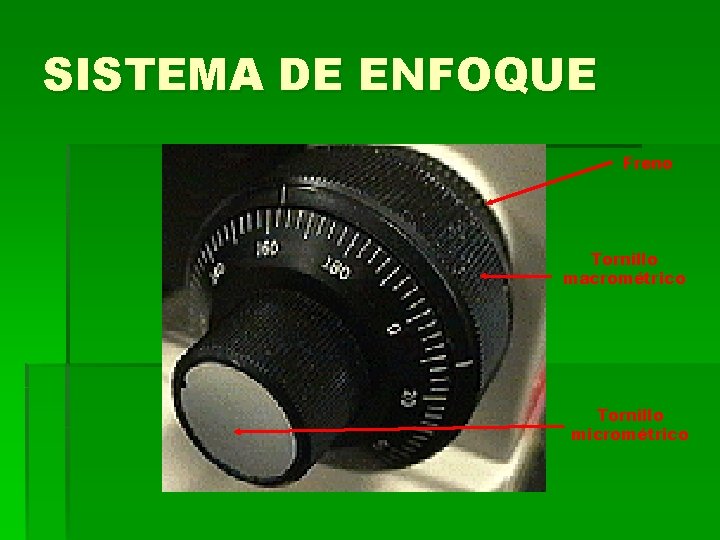 SISTEMA DE ENFOQUE Freno Tornillo macrométrico Tornillo micrométrico SISTEMA DE ENFOQUE Freno Tornillo macrométrico Tornillo micrométrico