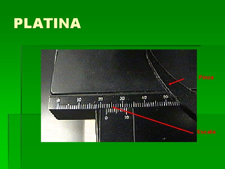 PLATINA Pinza Escala PLATINA Pinza Escala