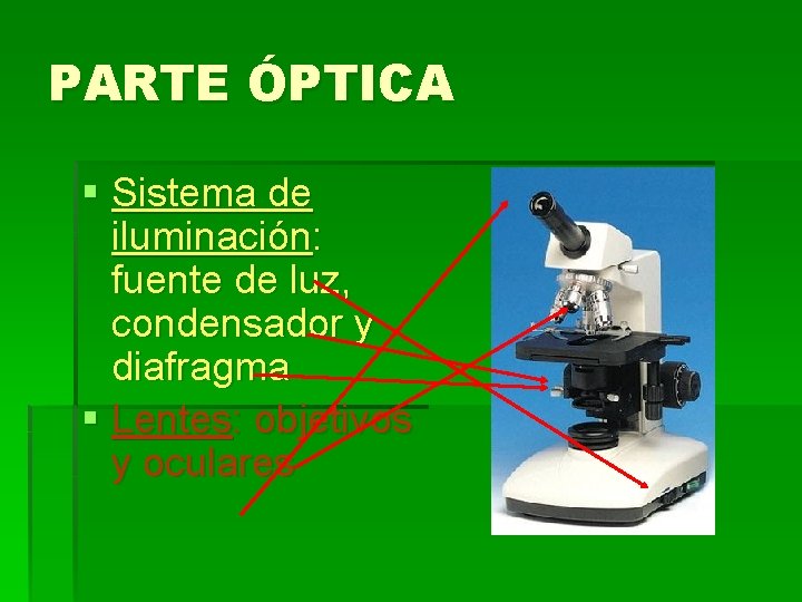 PARTE ÓPTICA § Sistema de iluminación: fuente de luz, condensador y diafragma § Lentes: PARTE ÓPTICA § Sistema de iluminación: fuente de luz, condensador y diafragma § Lentes: