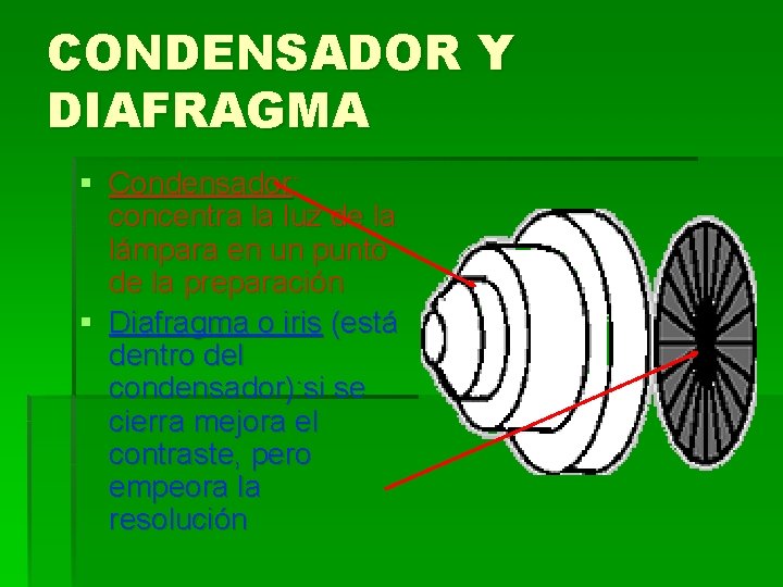 CONDENSADOR Y DIAFRAGMA § Condensador: concentra la luz de la lámpara en un punto CONDENSADOR Y DIAFRAGMA § Condensador: concentra la luz de la lámpara en un punto