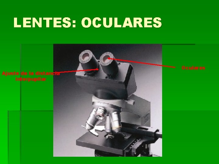 LENTES: OCULARES Ajuste de la distancia interpupilar Oculares LENTES: OCULARES Ajuste de la distancia interpupilar Oculares