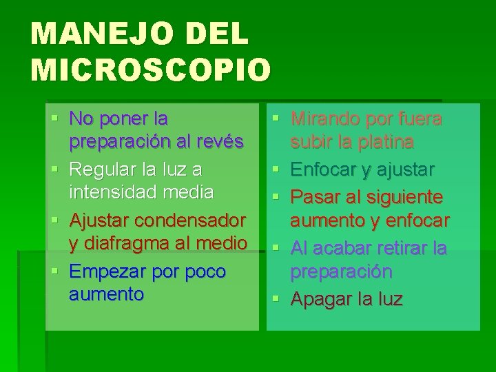 MANEJO DEL MICROSCOPIO § No poner la preparación al revés § Regular la luz MANEJO DEL MICROSCOPIO § No poner la preparación al revés § Regular la luz