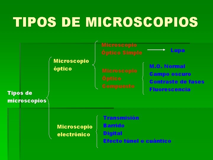 TIPOS DE MICROSCOPIOS Microscopio Óptico Simple Microscopio óptico Tipos de microscopios Microscopio electrónico Microscopio TIPOS DE MICROSCOPIOS Microscopio Óptico Simple Microscopio óptico Tipos de microscopios Microscopio electrónico Microscopio