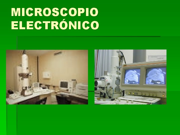 MICROSCOPIO ELECTRÓNICO MICROSCOPIO ELECTRÓNICO