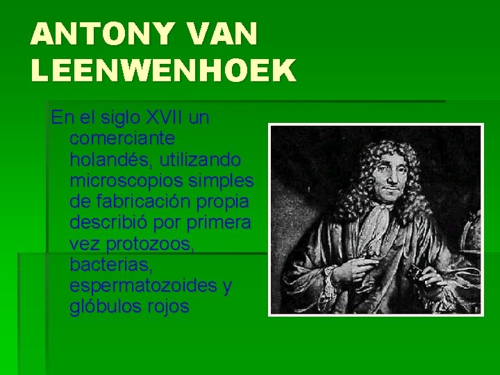 ANTONY VAN LEENWENHOEK En el siglo XVII un comerciante holandés, utilizando microscopios simples de ANTONY VAN LEENWENHOEK En el siglo XVII un comerciante holandés, utilizando microscopios simples de