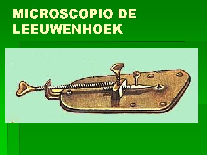 MICROSCOPIO DE LEEUWENHOEK MICROSCOPIO DE LEEUWENHOEK