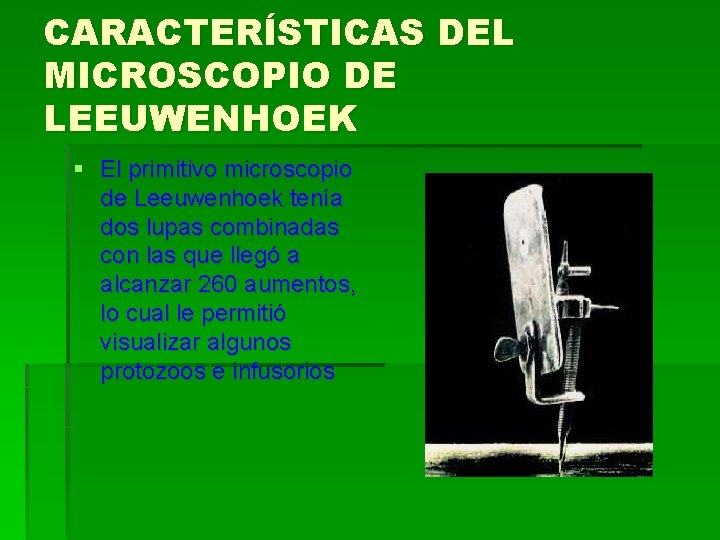 CARACTERÍSTICAS DEL MICROSCOPIO DE LEEUWENHOEK § El primitivo microscopio de Leeuwenhoek tenía dos lupas CARACTERÍSTICAS DEL MICROSCOPIO DE LEEUWENHOEK § El primitivo microscopio de Leeuwenhoek tenía dos lupas