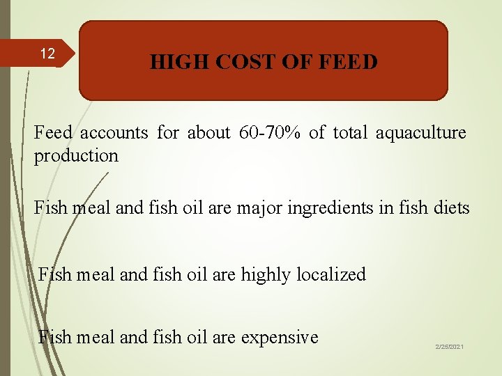 12 HIGH COST OF FEED Feed accounts for about 60 -70% of total aquaculture