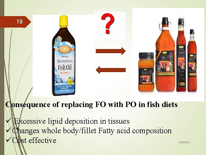 19 Consequence of replacing FO with PO in fish diets ü Excessive lipid deposition