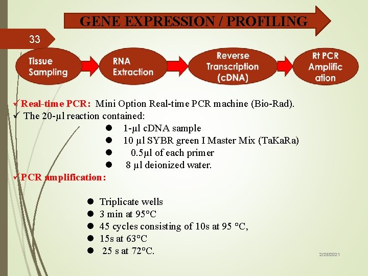 GENE EXPRESSION / PROFILING 33 üReal-time PCR: Mini Option Real-time PCR machine (Bio-Rad). ü