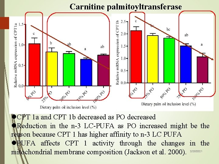 Carnitine palmitoyltransferase 47 l. CPT 1 a and CPT 1 b decreased as PO