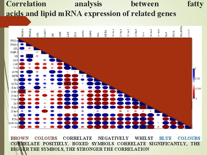 Correlation analysis between acids and lipid m. RNA expression of related genes fatty BROWN