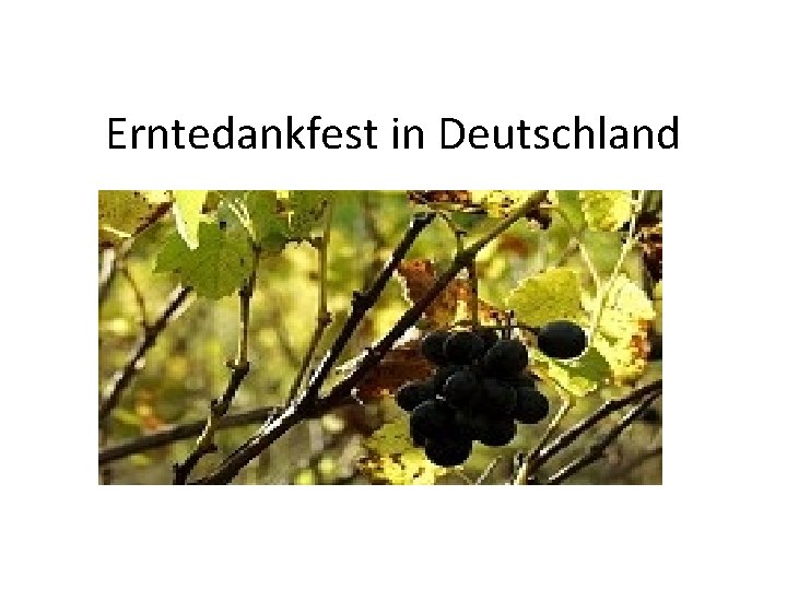 Erntedankfest in Deutschland 