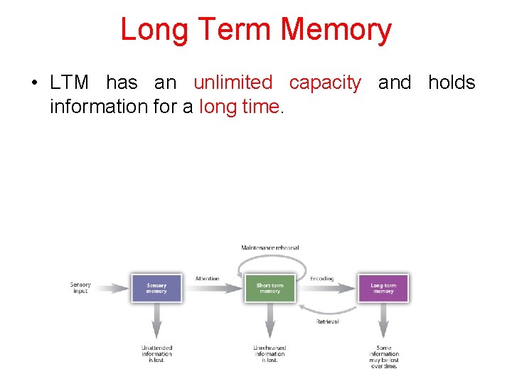 Long Term Memory • LTM has an unlimited capacity and holds information for a