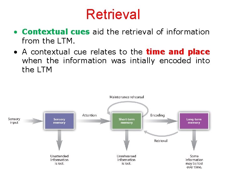 Retrieval • Contextual cues aid the retrieval of information from the LTM. • A