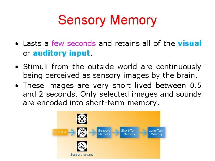 Sensory Memory • Lasts a few seconds and retains all of the visual or
