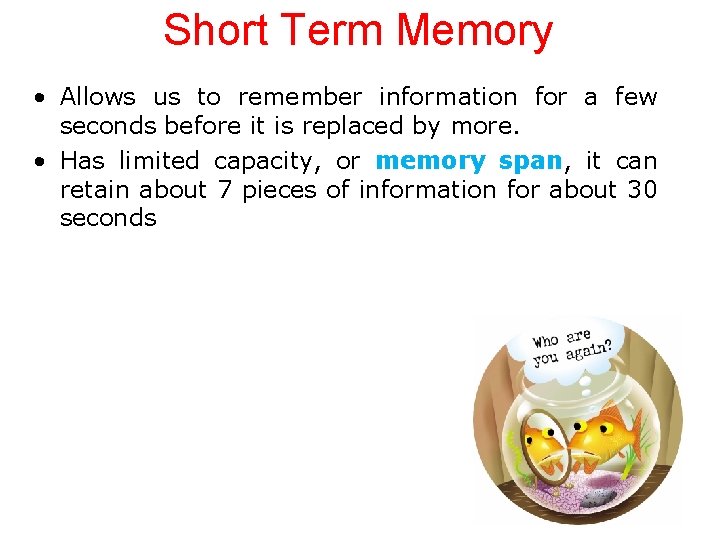 Short Term Memory • Allows us to remember information for a few seconds before