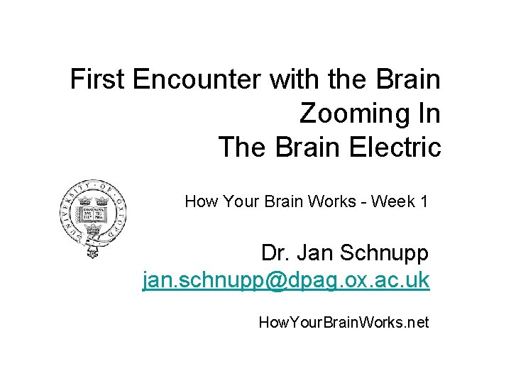 First Encounter with the Brain Zooming In The Brain Electric How Your Brain Works