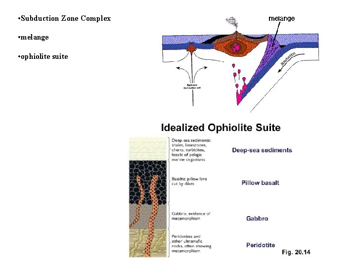  • Subduction Zone Complex • melange • ophiolite suite 