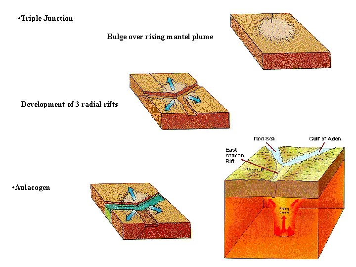  • Triple Junction Bulge over rising mantel plume Development of 3 radial rifts