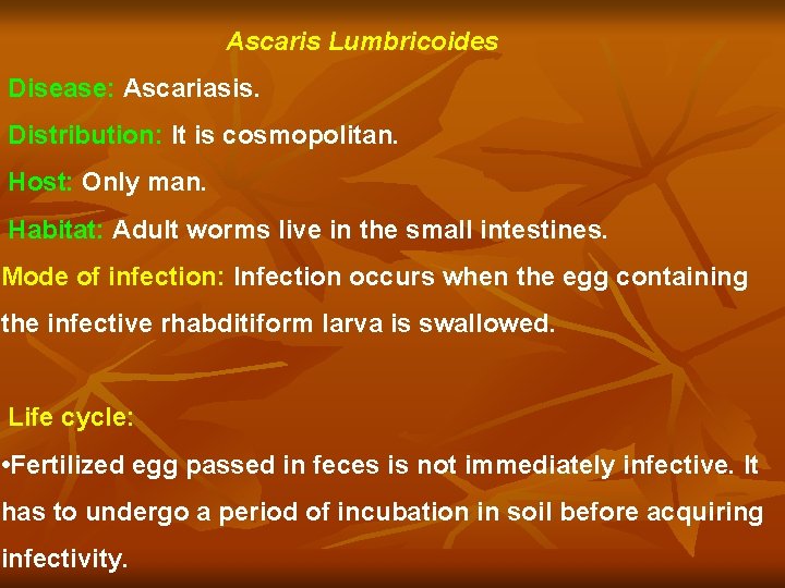 Ascaris Lumbricoides Disease: Ascariasis. Distribution: It is cosmopolitan. Host: Only man. Habitat: Adult worms