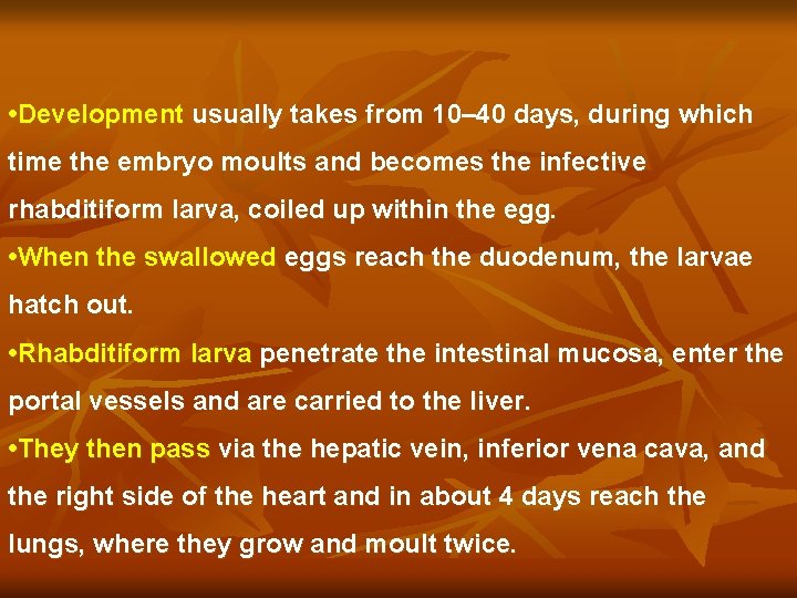  • Development usually takes from 10– 40 days, during which time the embryo