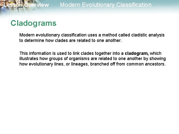 Lesson Overview Modern Evolutionary Classification Cladograms Modern evolutionary classification uses a method called cladistic Lesson Overview Modern Evolutionary Classification Cladograms Modern evolutionary classification uses a method called cladistic