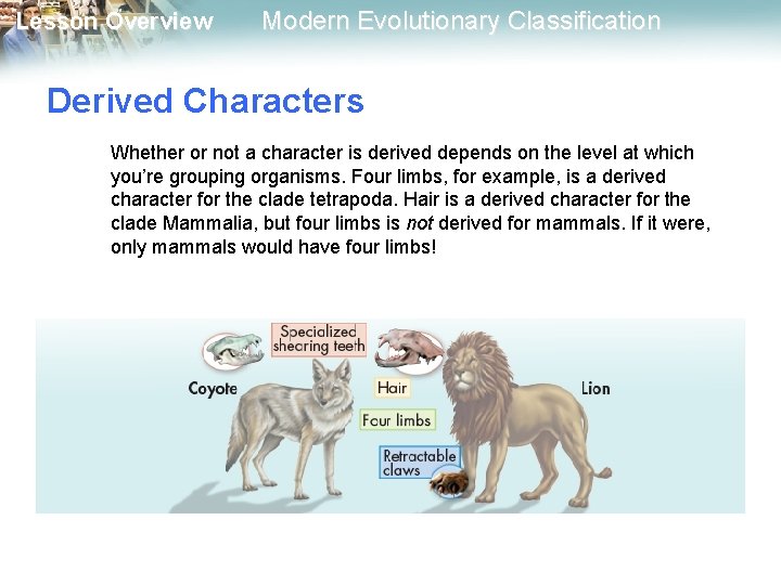 Lesson Overview Modern Evolutionary Classification Derived Characters Whether or not a character is derived Lesson Overview Modern Evolutionary Classification Derived Characters Whether or not a character is derived