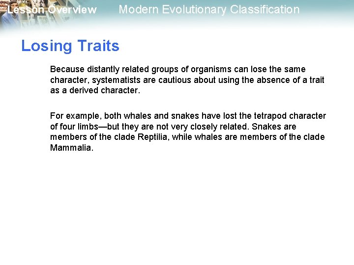 Lesson Overview Modern Evolutionary Classification Losing Traits Because distantly related groups of organisms can Lesson Overview Modern Evolutionary Classification Losing Traits Because distantly related groups of organisms can
