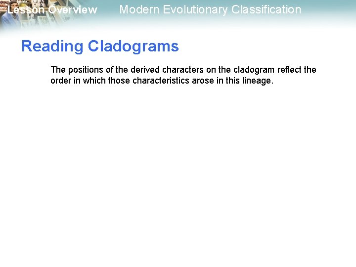 Lesson Overview Modern Evolutionary Classification Reading Cladograms The positions of the derived characters on Lesson Overview Modern Evolutionary Classification Reading Cladograms The positions of the derived characters on