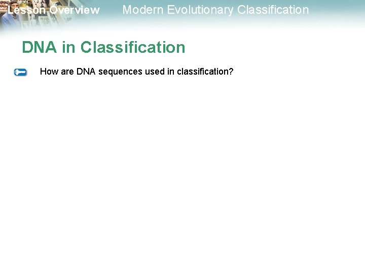 Lesson Overview Modern Evolutionary Classification DNA in Classification How are DNA sequences used in Lesson Overview Modern Evolutionary Classification DNA in Classification How are DNA sequences used in