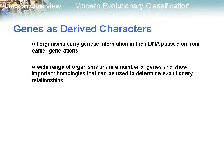 Lesson Overview Modern Evolutionary Classification Genes as Derived Characters All organisms carry genetic information Lesson Overview Modern Evolutionary Classification Genes as Derived Characters All organisms carry genetic information