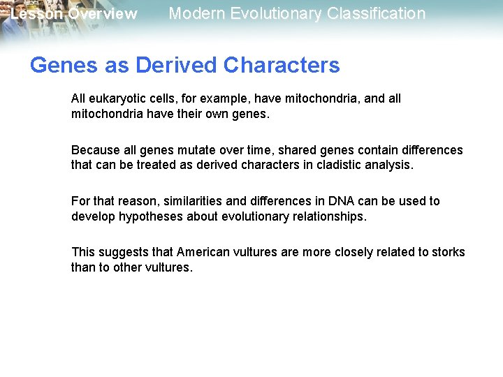 Lesson Overview Modern Evolutionary Classification Genes as Derived Characters All eukaryotic cells, for example, Lesson Overview Modern Evolutionary Classification Genes as Derived Characters All eukaryotic cells, for example,