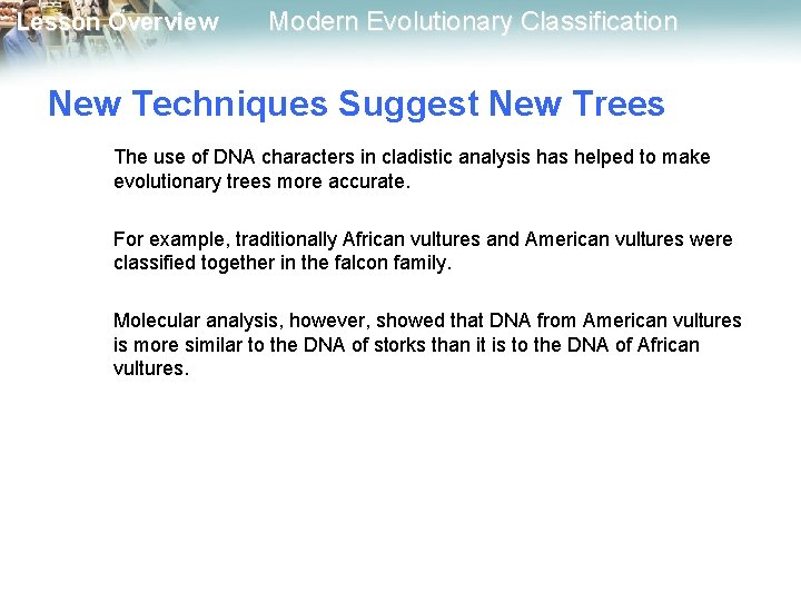 Lesson Overview Modern Evolutionary Classification New Techniques Suggest New Trees The use of DNA Lesson Overview Modern Evolutionary Classification New Techniques Suggest New Trees The use of DNA