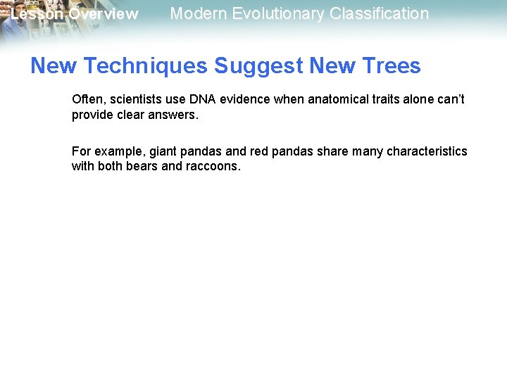 Lesson Overview Modern Evolutionary Classification New Techniques Suggest New Trees Often, scientists use DNA Lesson Overview Modern Evolutionary Classification New Techniques Suggest New Trees Often, scientists use DNA