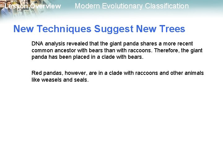 Lesson Overview Modern Evolutionary Classification New Techniques Suggest New Trees DNA analysis revealed that Lesson Overview Modern Evolutionary Classification New Techniques Suggest New Trees DNA analysis revealed that