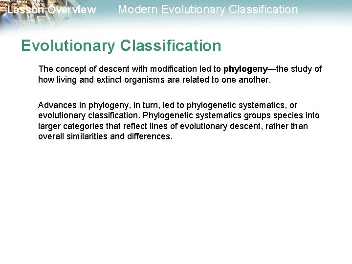Lesson Overview Modern Evolutionary Classification The concept of descent with modification led to phylogeny—the Lesson Overview Modern Evolutionary Classification The concept of descent with modification led to phylogeny—the