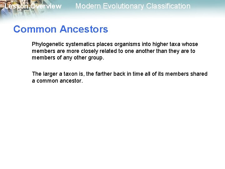 Lesson Overview Modern Evolutionary Classification Common Ancestors Phylogenetic systematics places organisms into higher taxa Lesson Overview Modern Evolutionary Classification Common Ancestors Phylogenetic systematics places organisms into higher taxa