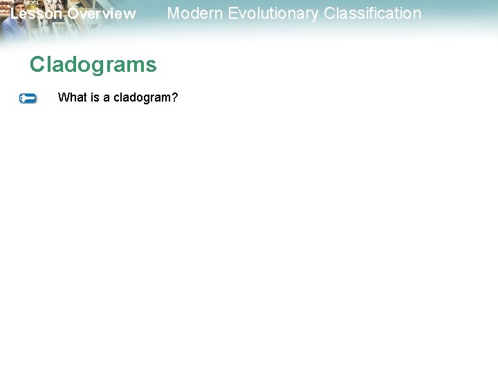 Lesson Overview Modern Evolutionary Classification Cladograms What is a cladogram? Lesson Overview Modern Evolutionary Classification Cladograms What is a cladogram?