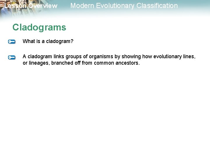 Lesson Overview Modern Evolutionary Classification Cladograms What is a cladogram? A cladogram links groups Lesson Overview Modern Evolutionary Classification Cladograms What is a cladogram? A cladogram links groups