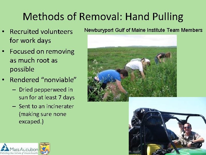 Methods of Removal: Hand Pulling • Recruited volunteers for work days • Focused on