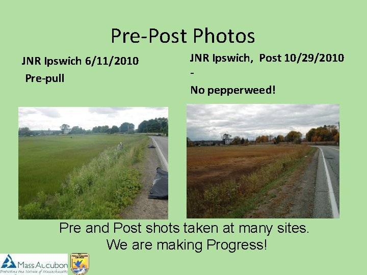 Pre-Post Photos JNR Ipswich 6/11/2010 Pre-pull JNR Ipswich, Post 10/29/2010 No pepperweed! Pre and