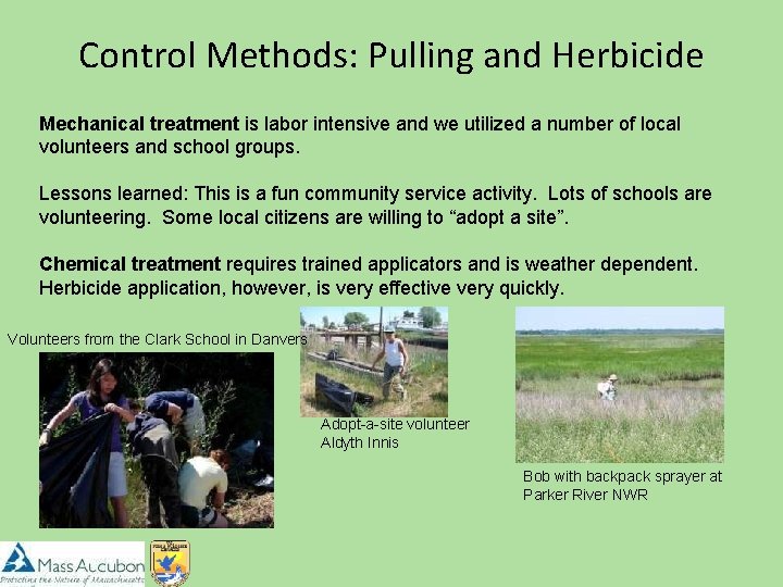 Control Methods: Pulling and Herbicide Mechanical treatment is labor intensive and we utilized a