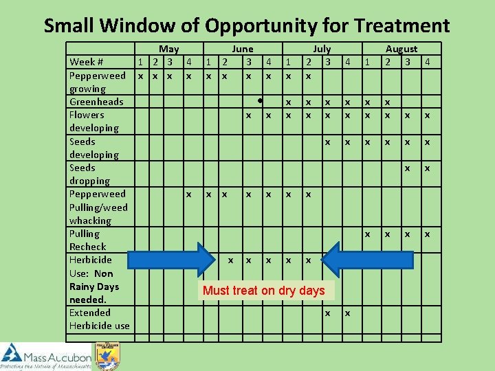 Small Window of Opportunity for Treatment Week # Pepperweed growing Greenheads Flowers developing Seeds