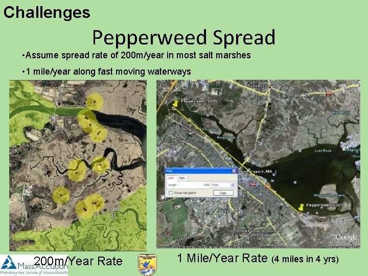 Challenges Pepperweed Spread • Assume spread rate of 200 m/year in most salt marshes