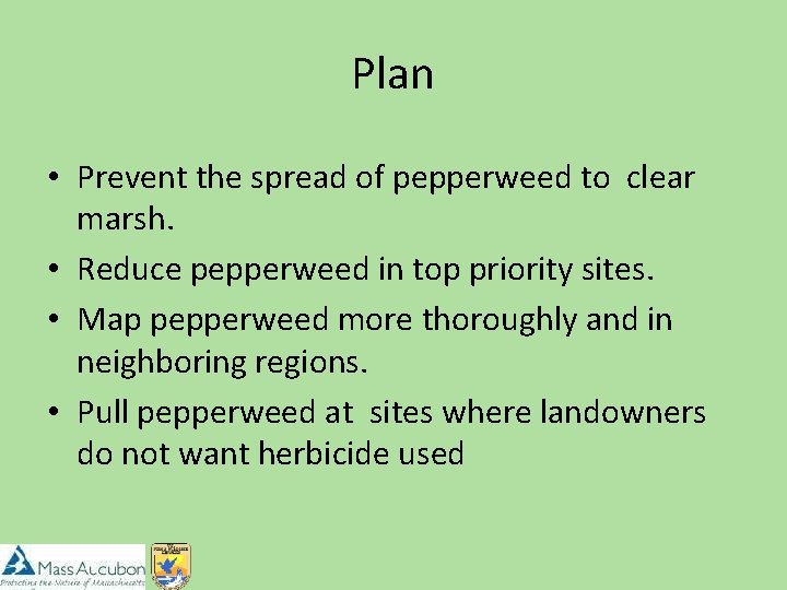 Plan • Prevent the spread of pepperweed to clear marsh. • Reduce pepperweed in