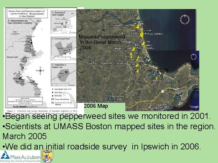 2008 2006 Map • Began seeing pepperweed sites we monitored in 2001. • Scientists