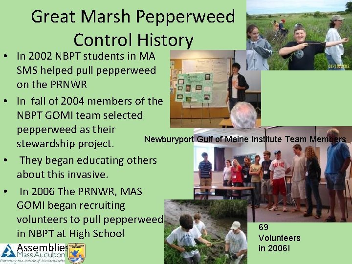 Great Marsh Pepperweed Control History • In 2002 NBPT students in MA SMS helped